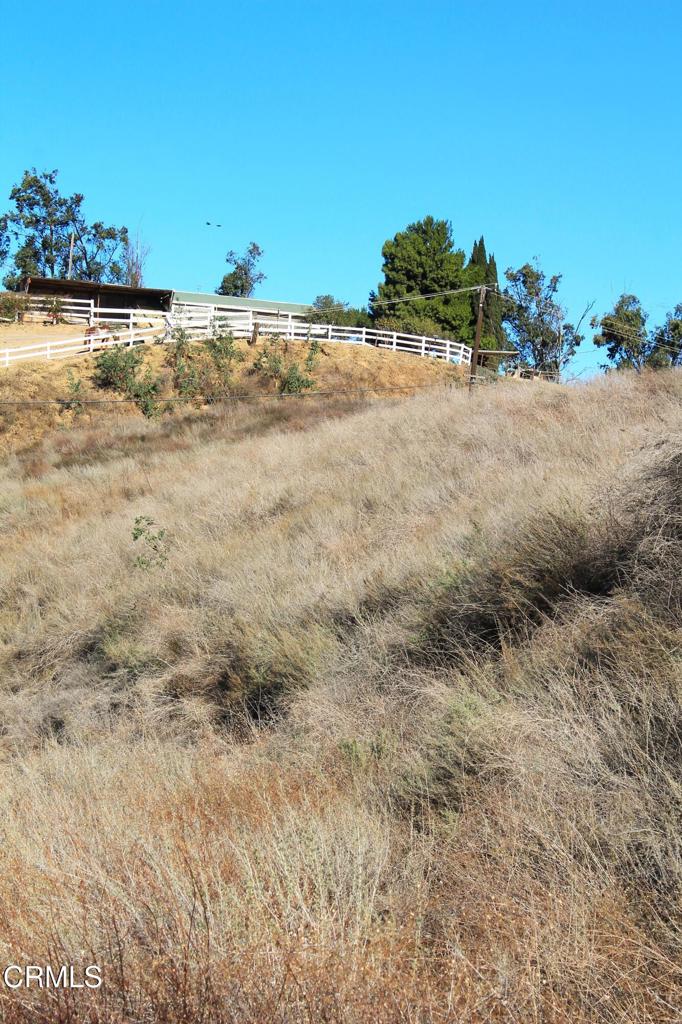 MLS #V1-27622 image #6