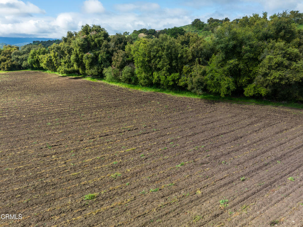 MLS #V1-28011 image #52