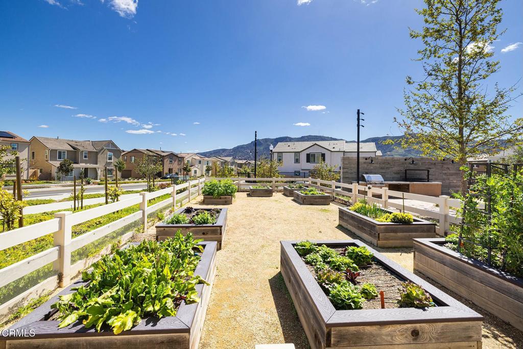 MLS #V1-28702 image #31