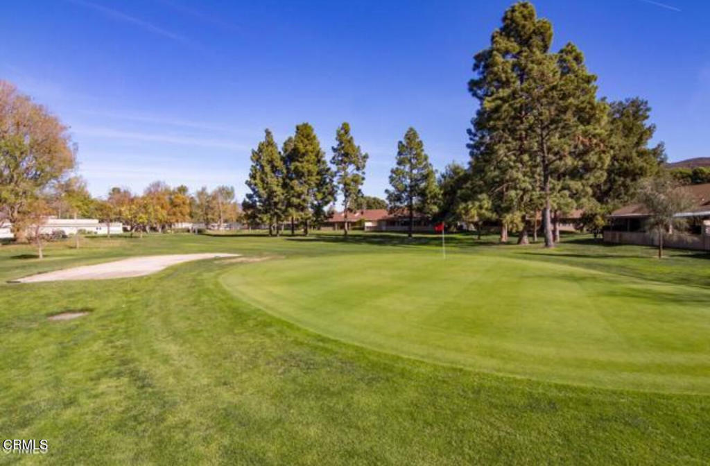 MLS #V1-29002 image #19