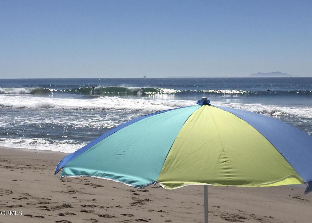 MLS #V1-29022 image #31