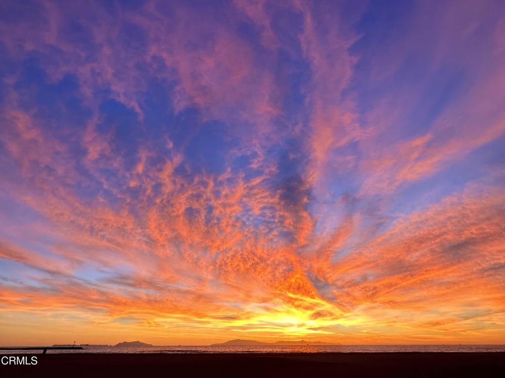 MLS #V1-29022 image #32