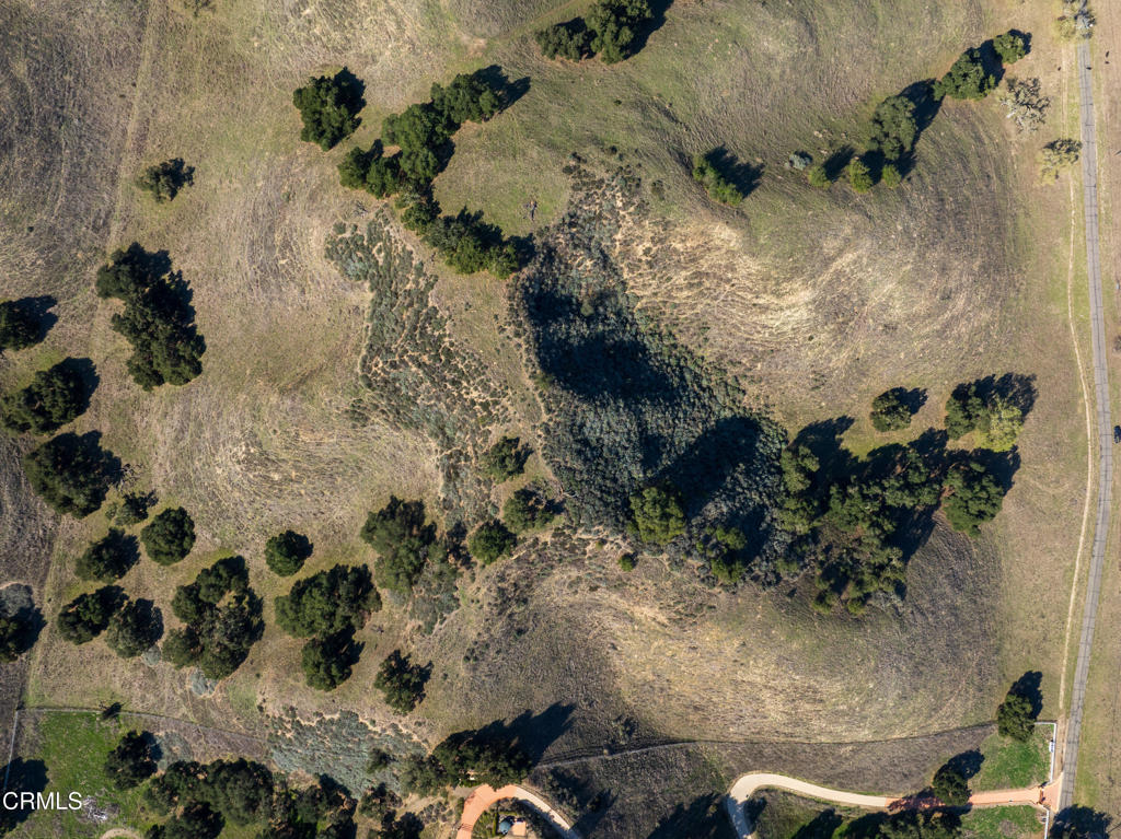 MLS #V1-29084 image #12