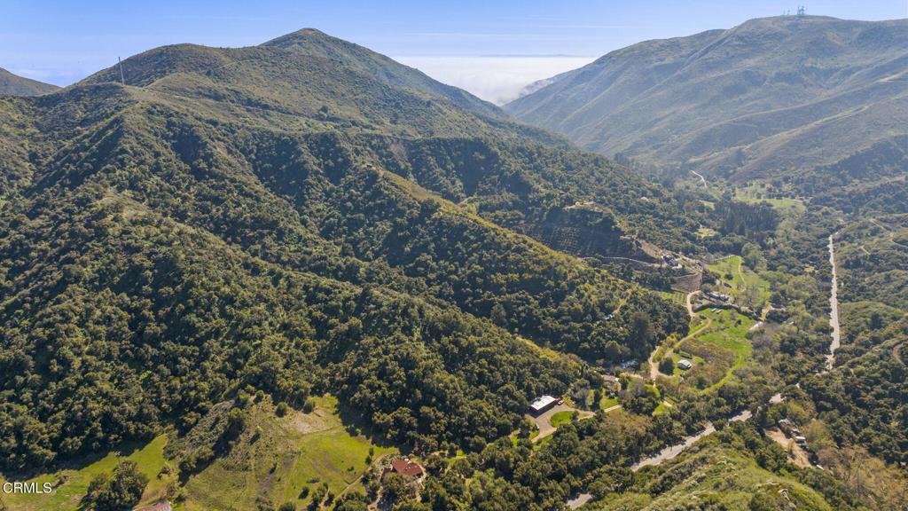 MLS #V1-29098 image #10