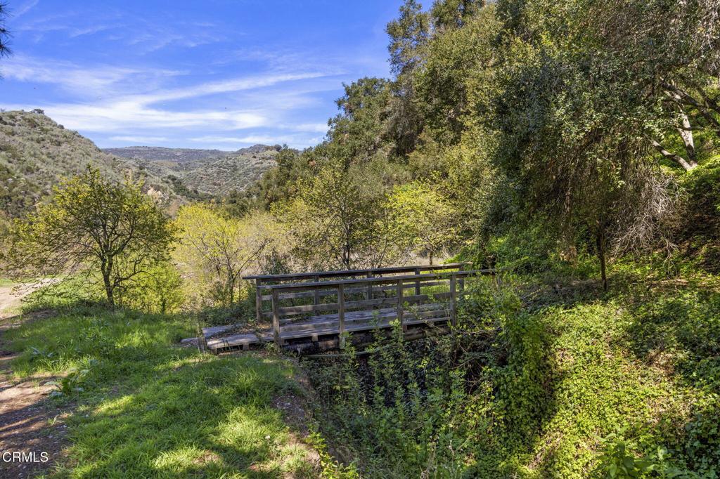 MLS #V1-29098 image #27