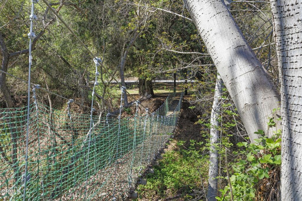 MLS #V1-29098 image #28