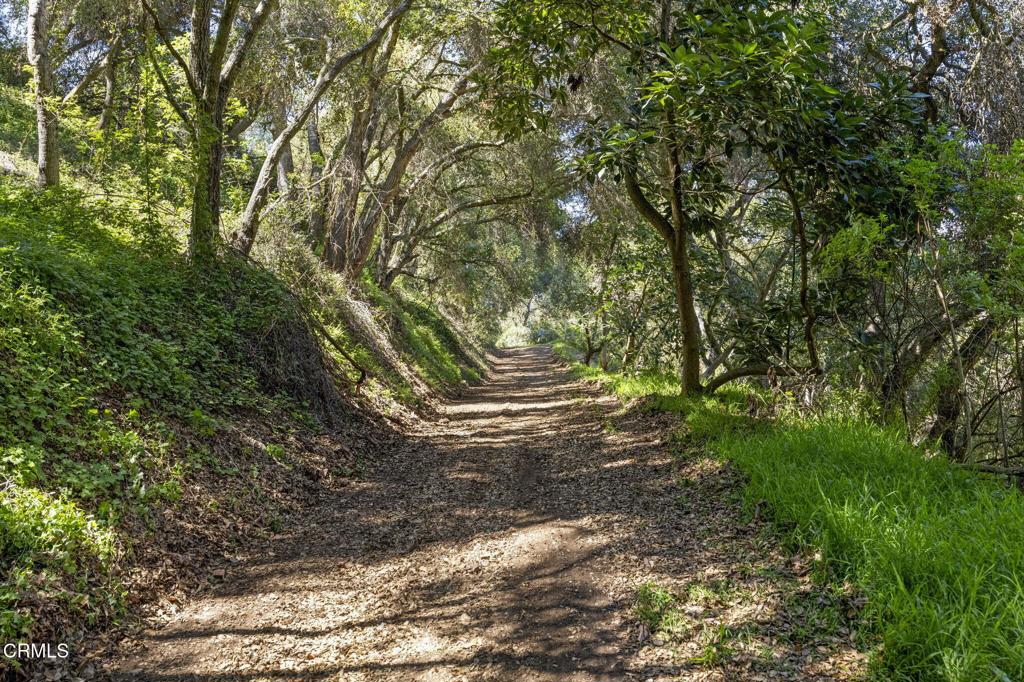 MLS #V1-29098 image #5