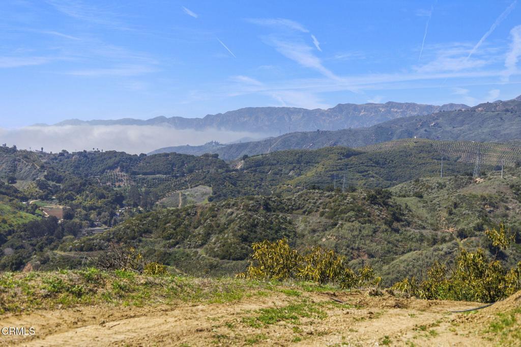 MLS #V1-29098 image #56