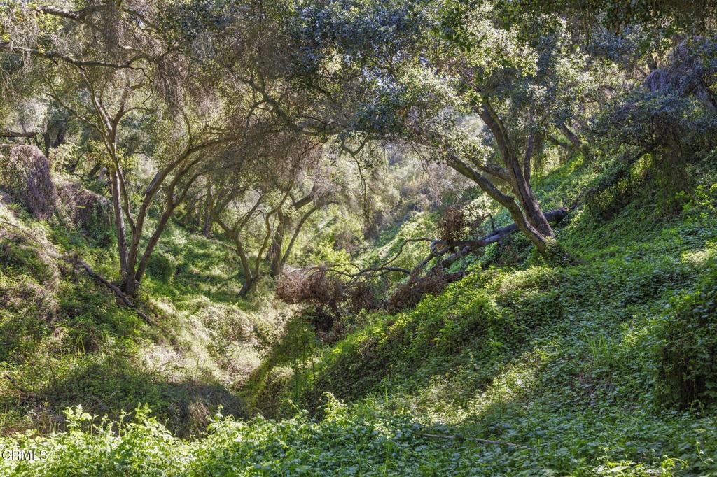 MLS #V1-29098 image #6