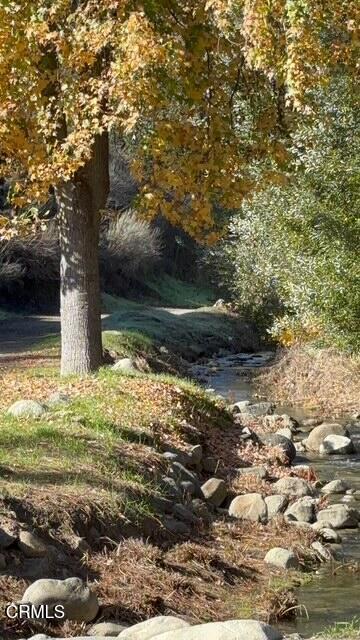 MLS #V1-29139 image #24