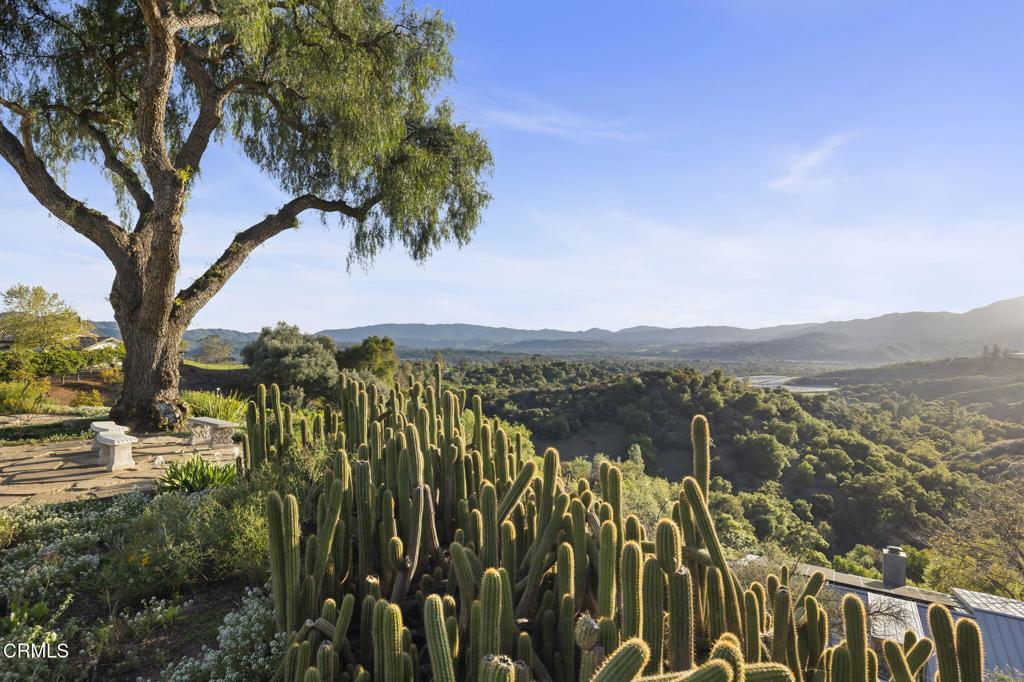 MLS #V1-29174 image #63