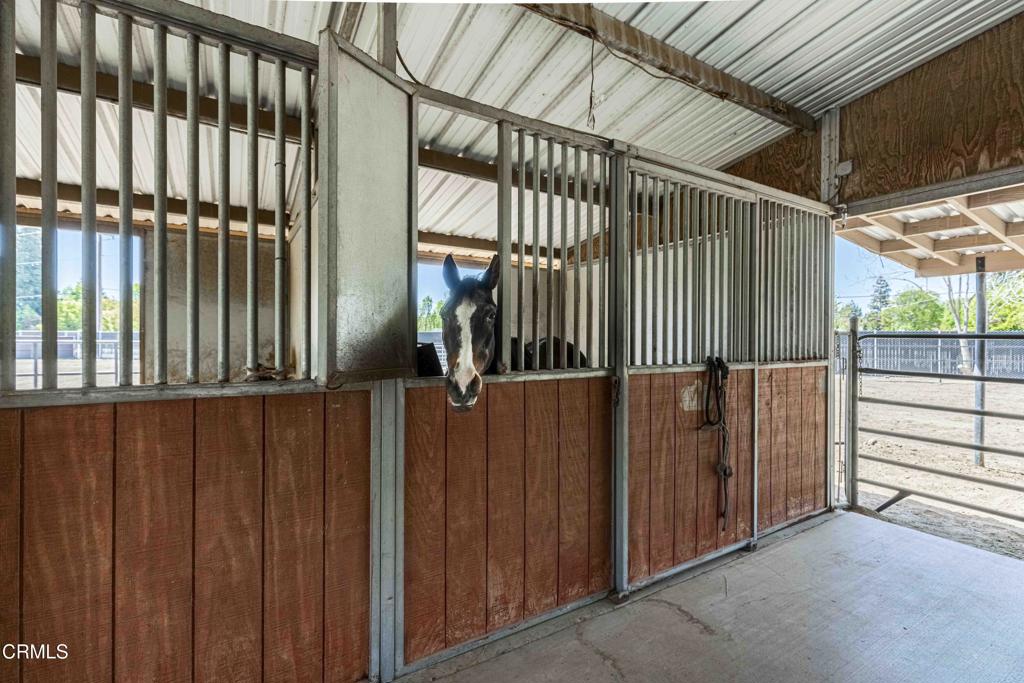 MLS #V1-29218 image #34