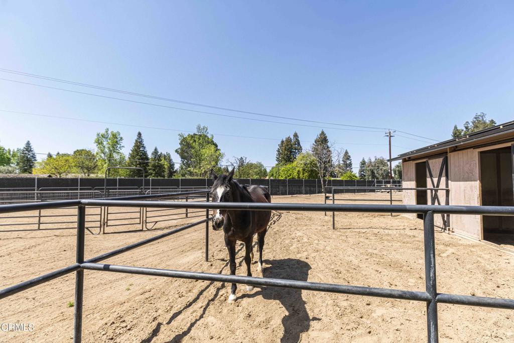 MLS #V1-29218 image #40