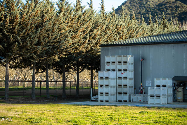 MLS #V1-29505 image #13