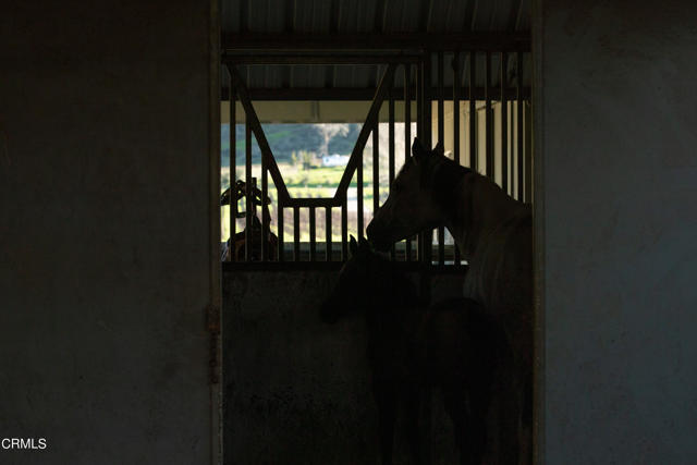 MLS #V1-29505 image #19