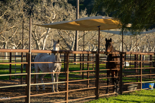 MLS #V1-29505 image #21