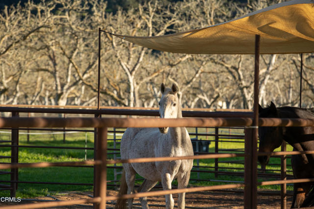 MLS #V1-29505 image #23