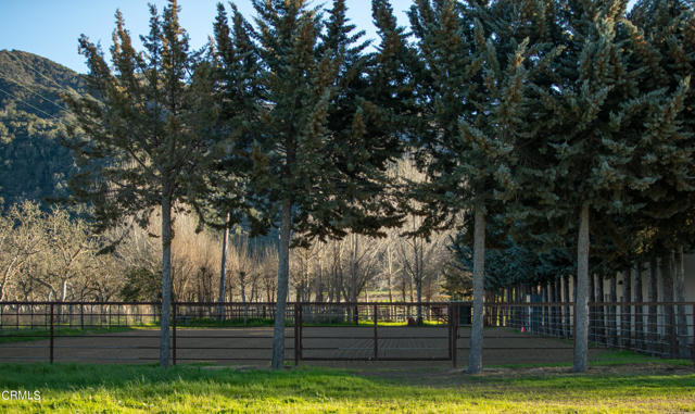 MLS #V1-29505 image #24