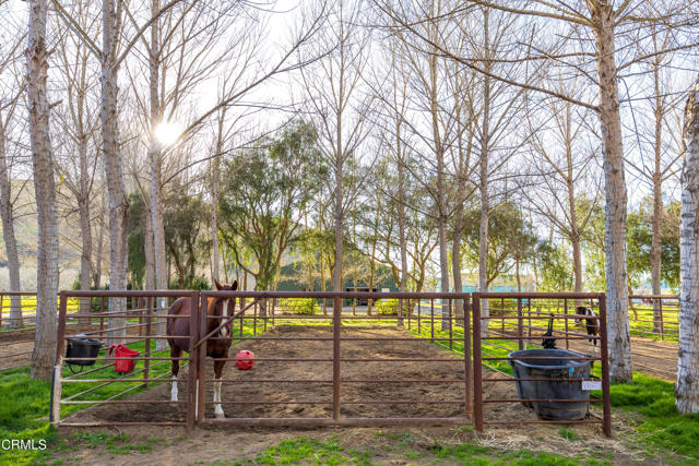 MLS #V1-29505 image #25