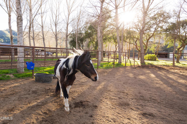 MLS #V1-29505 image #26