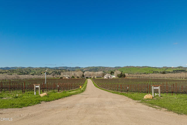 MLS #V1-29505 image #4