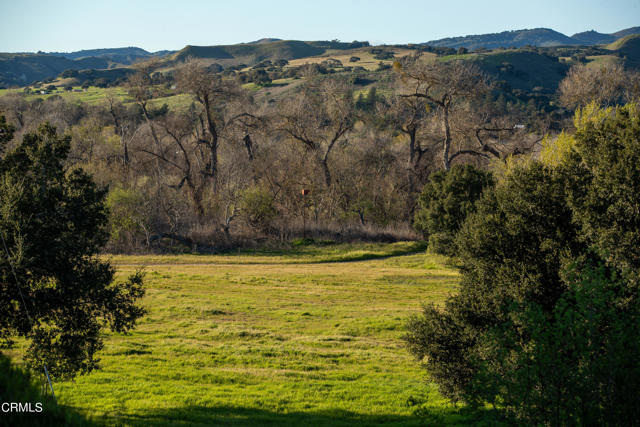 MLS #V1-29505 image #40