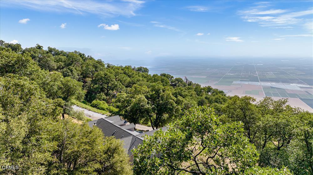 MLS #V1-29572 image #35