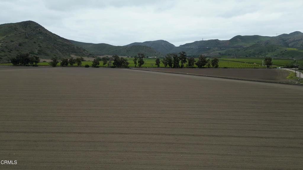 MLS #V1-29714 image #10