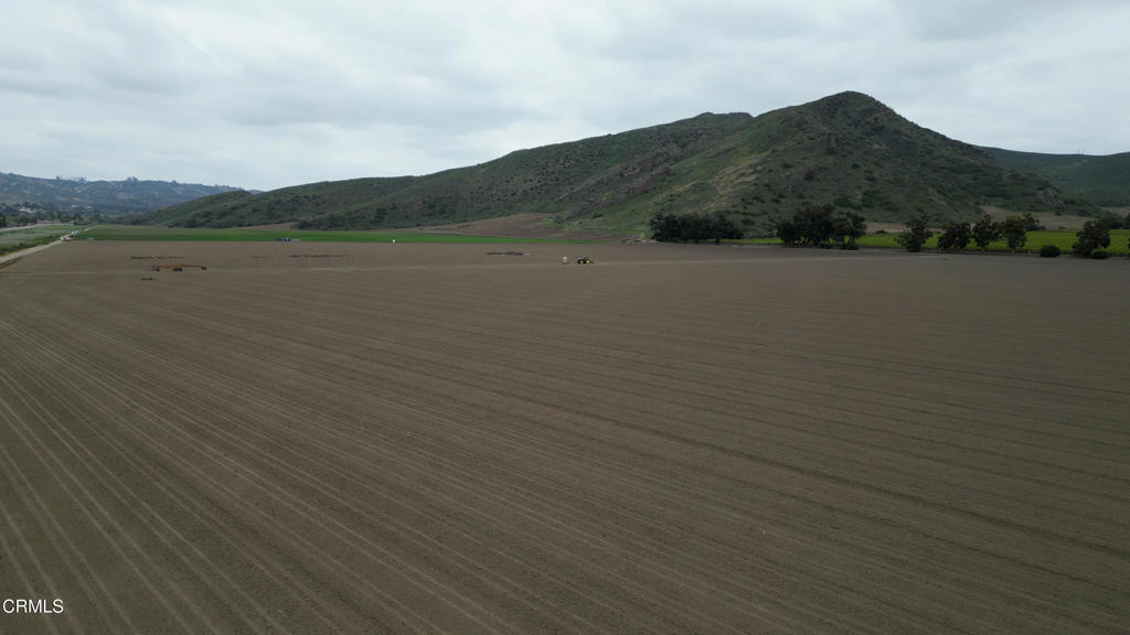 MLS #V1-29714 image #11