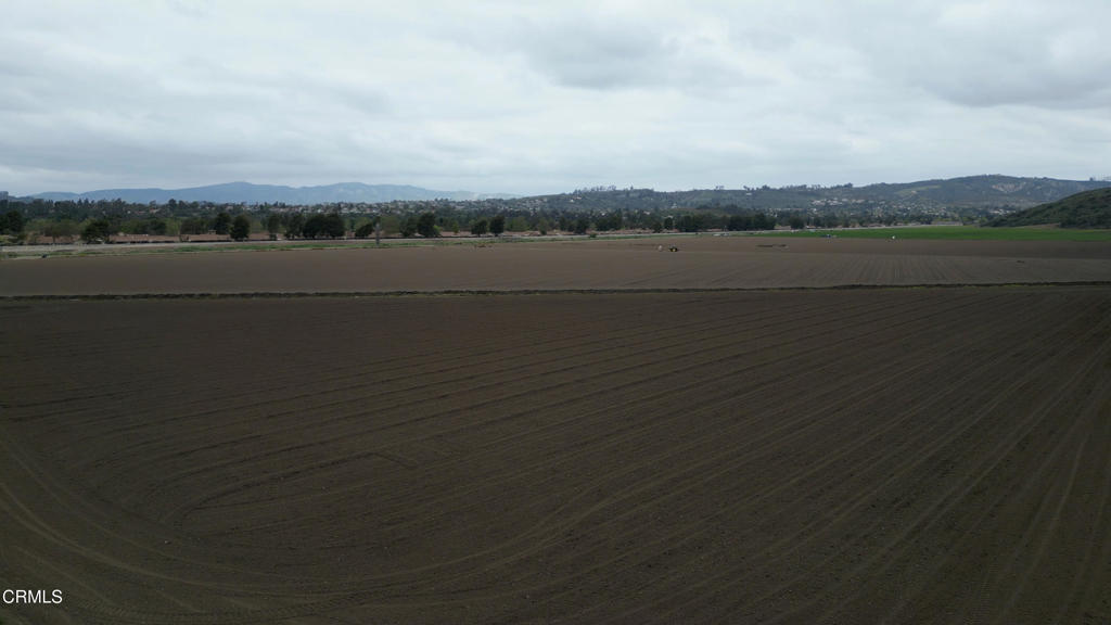 MLS #V1-29714 image #13