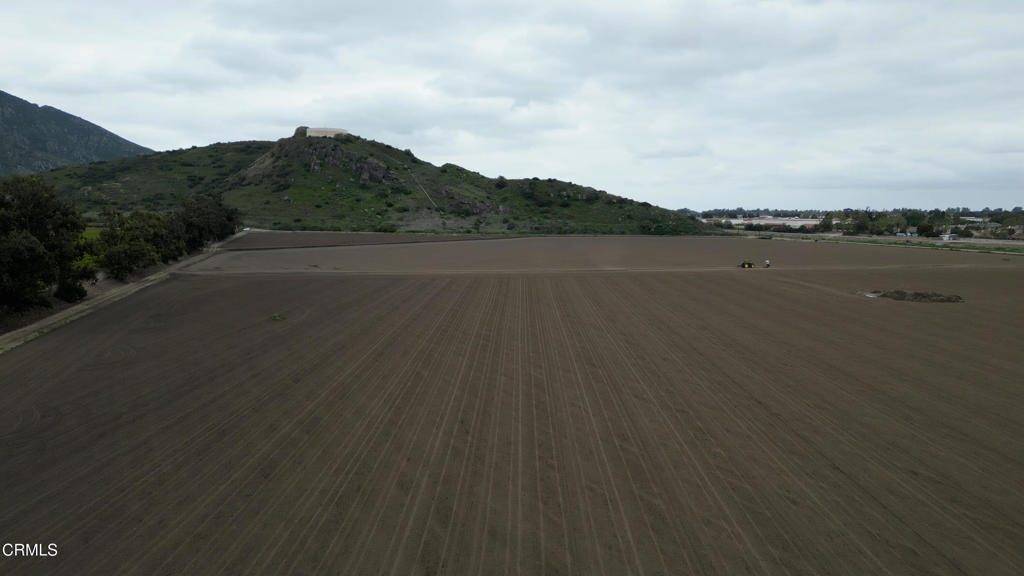 MLS #V1-29714 image #3