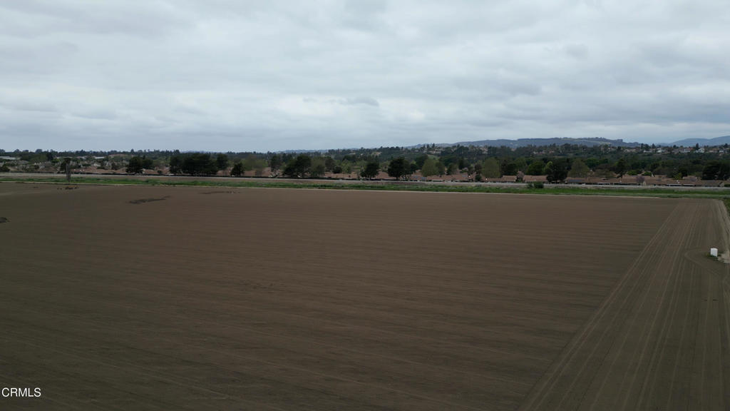 MLS #V1-29714 image #4