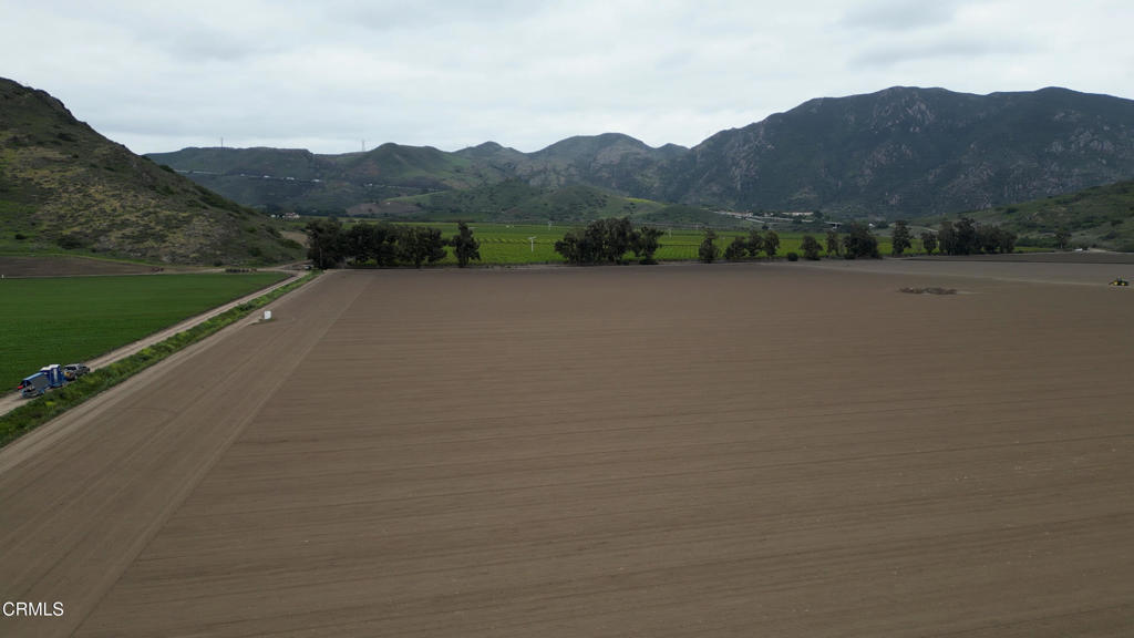 MLS #V1-29714 image #5