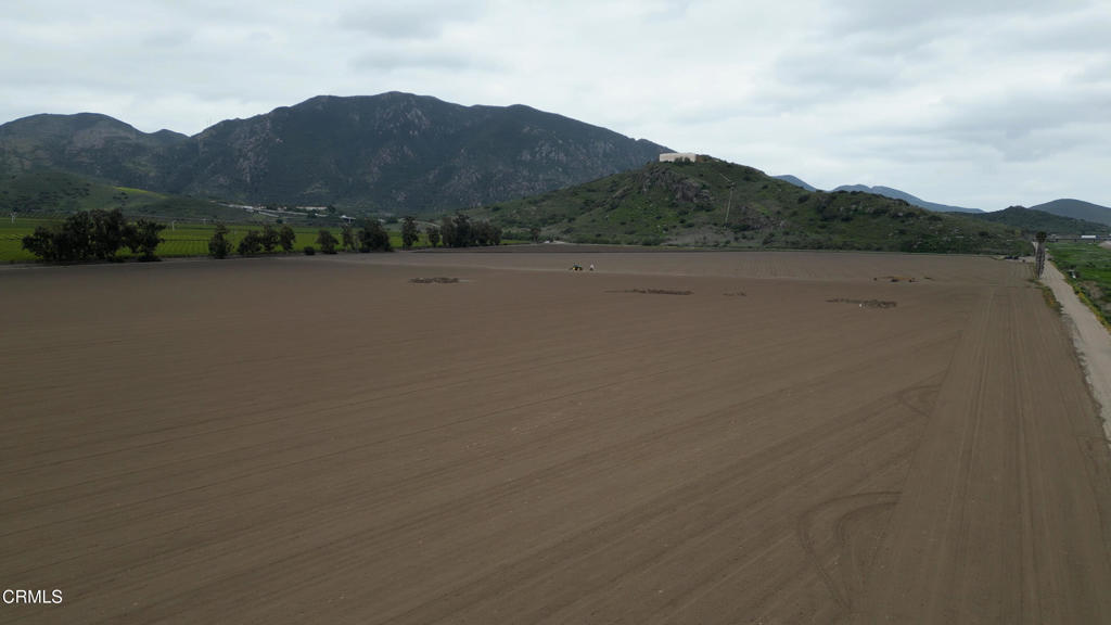 MLS #V1-29714 image #6