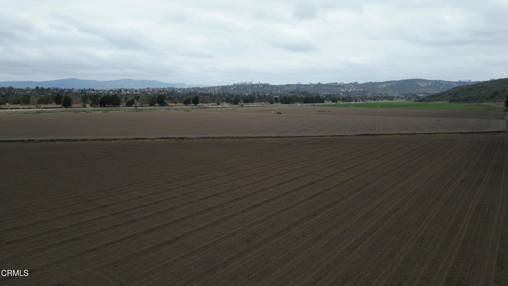 MLS #V1-29714 image #7