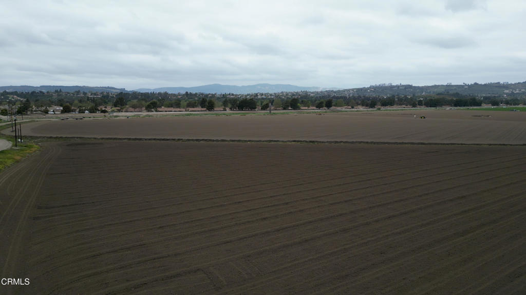 MLS #V1-29714 image #8