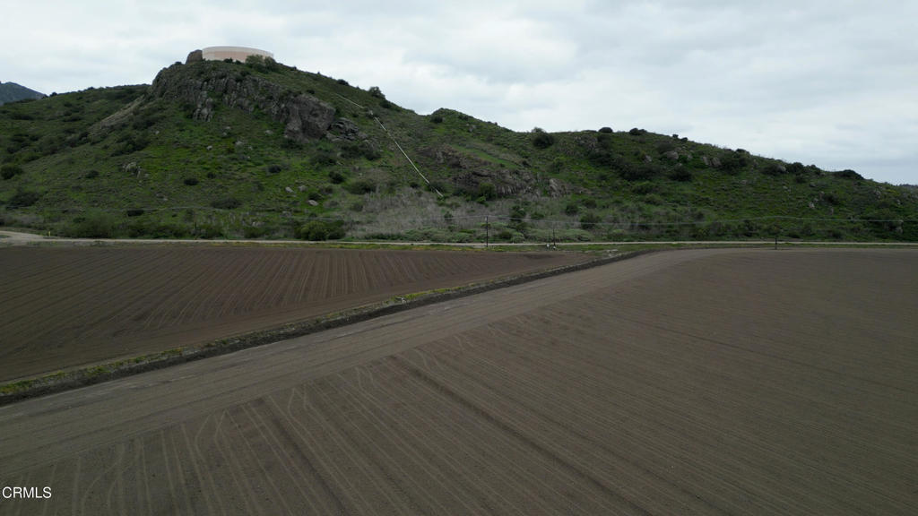 MLS #V1-29714 image #9