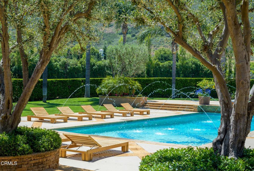 MLS #V1-30009 image #11