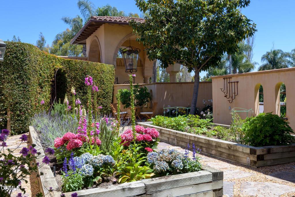 MLS #V1-30009 image #14