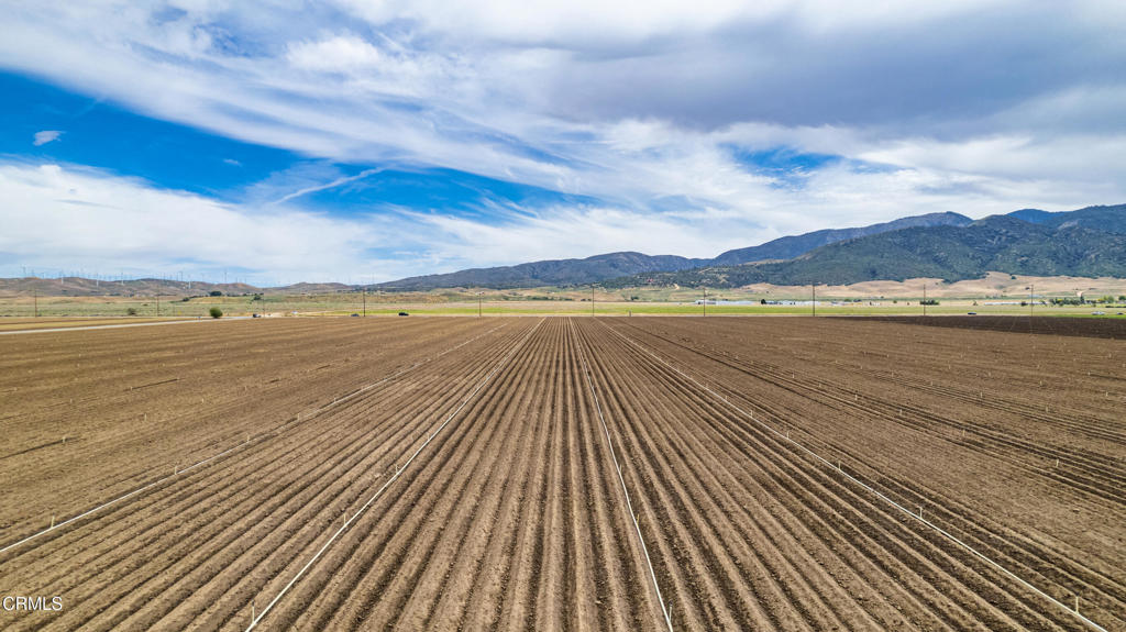 MLS #V1-30127 image #9