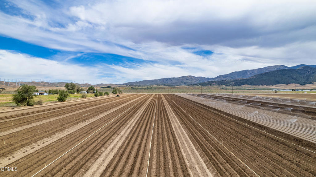 MLS #V1-30129 image #12