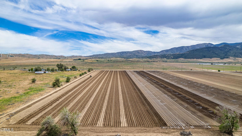 MLS #V1-30130 image #12