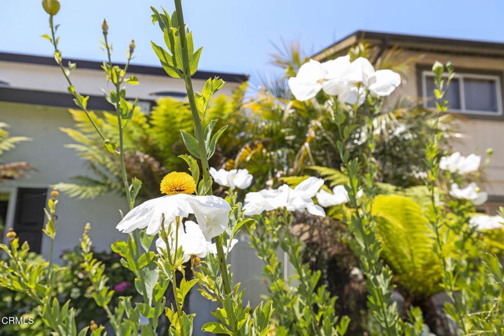 MLS #V1-30153 image #9