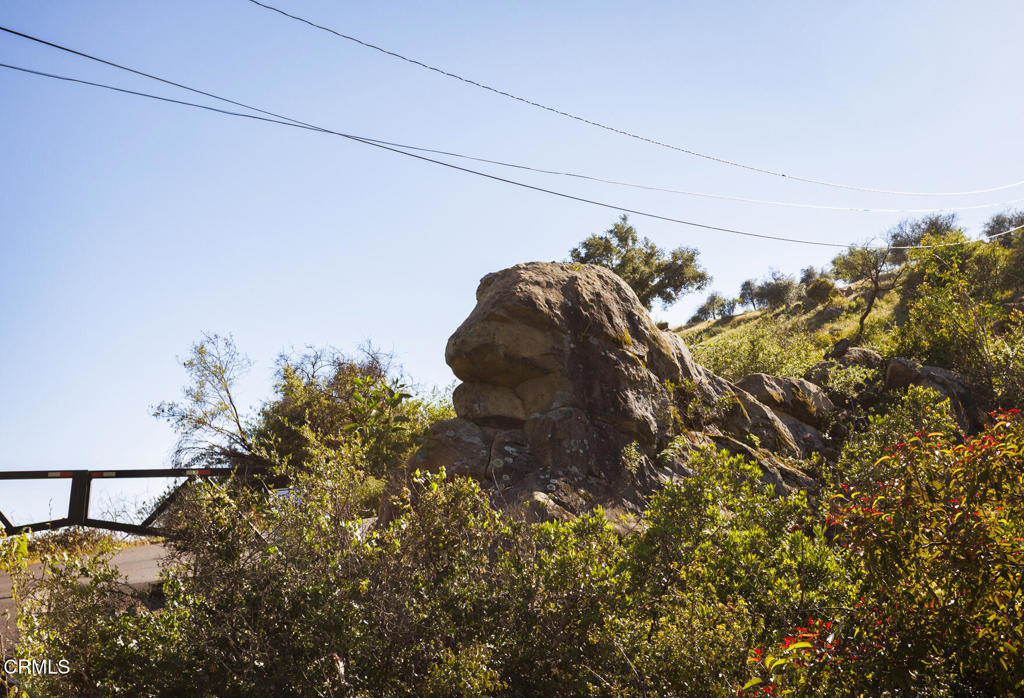 MLS #V1-30249 image #1