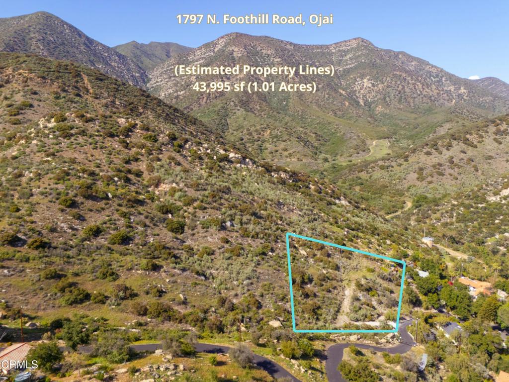 MLS #V1-30249 image #11