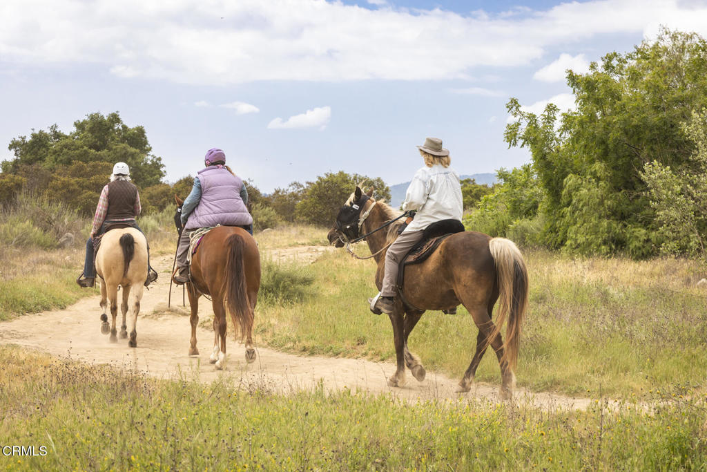 MLS #V1-30249 image #18