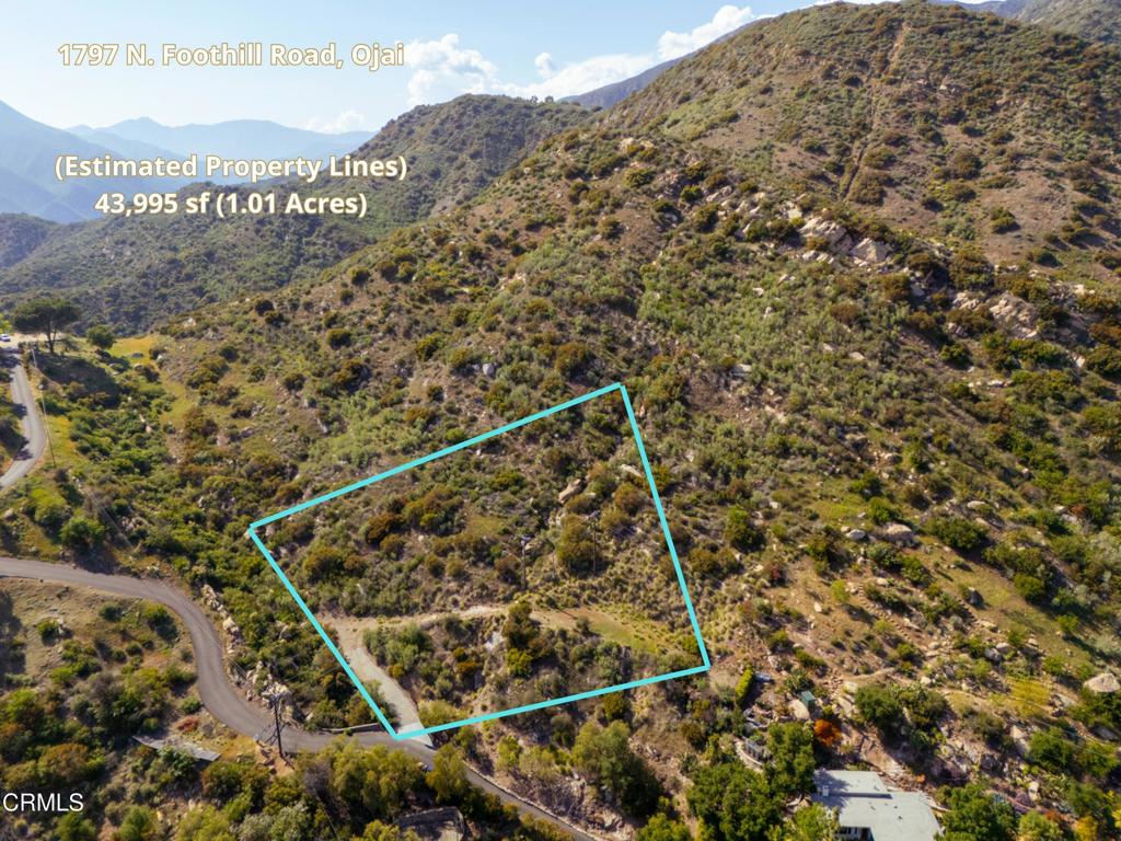 MLS #V1-30249 image #8