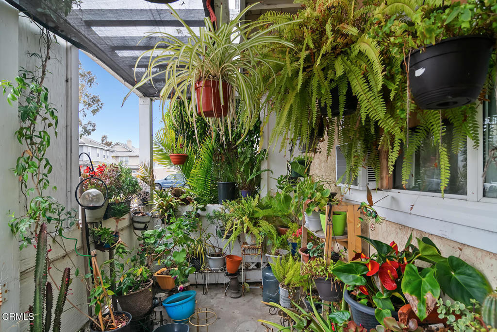 MLS #V1-30475 image #2