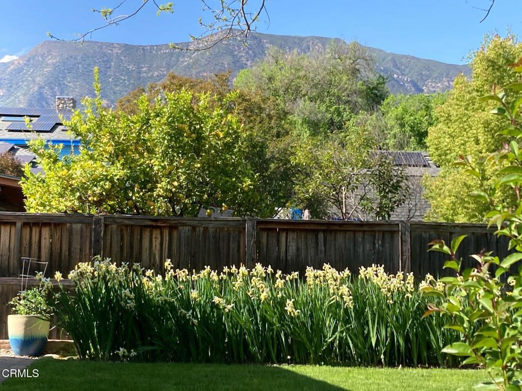 MLS #V1-30532 image #1