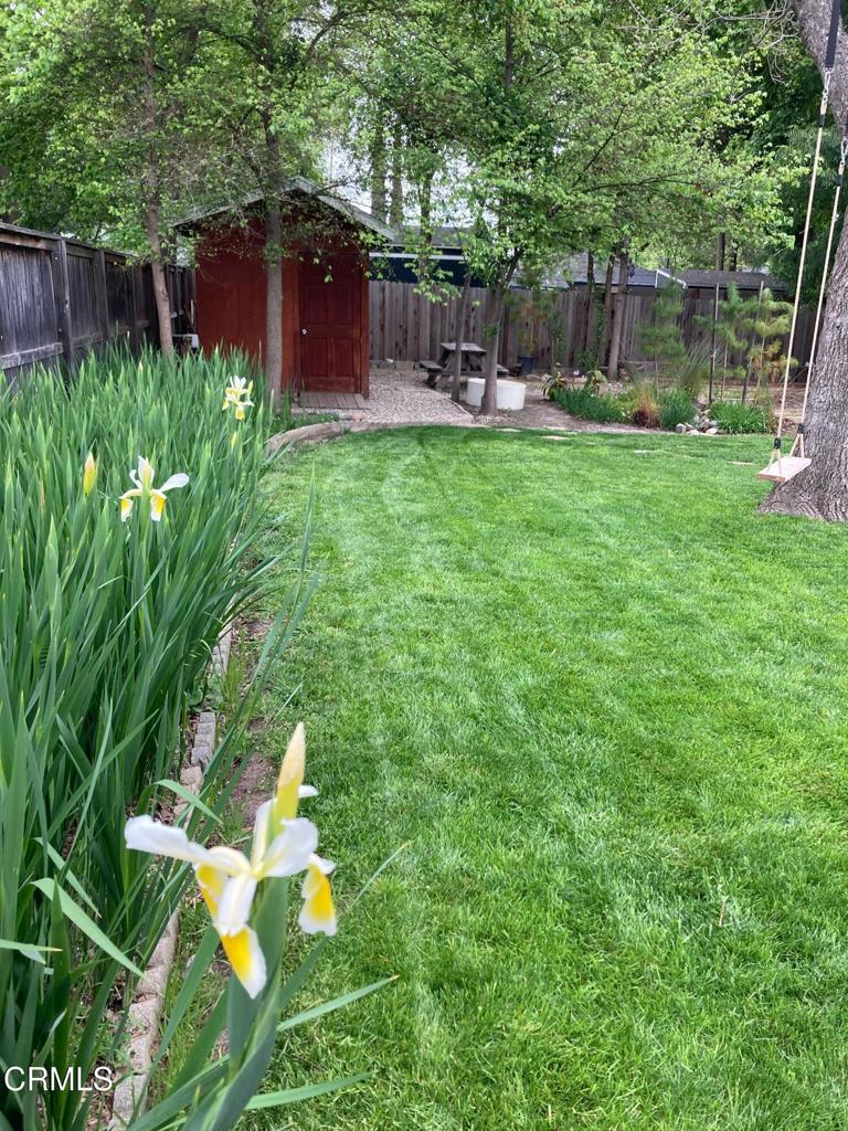 MLS #V1-30532 image #30